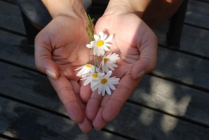 open hands holding wildflowers to give as a gift.