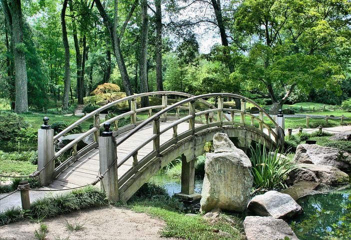 bridge surrounded by nature
